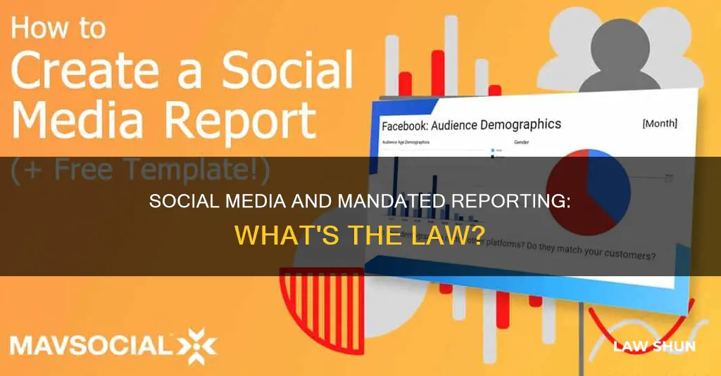 do mandated reporting laws apply to social media