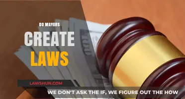 Mayoral Powers: Creating Laws and Policies