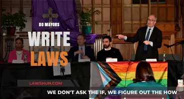 Do Mayors Write Laws? Understanding Mayoral Roles in Legislation
