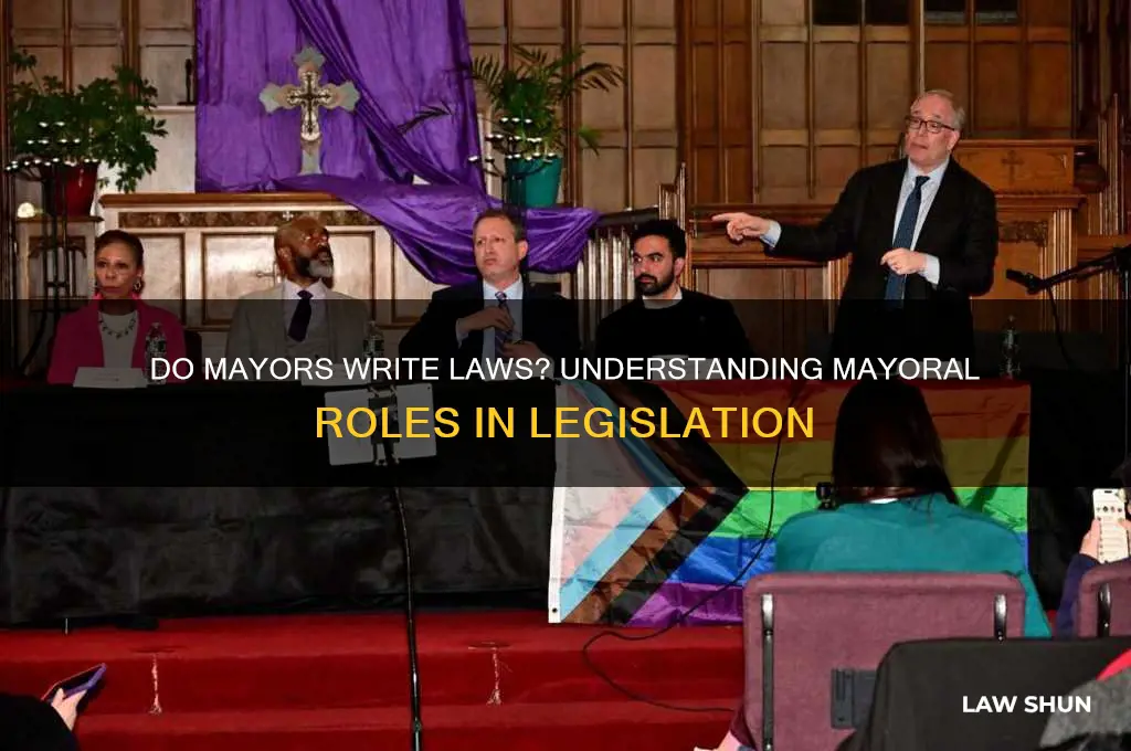 do mayors write laws