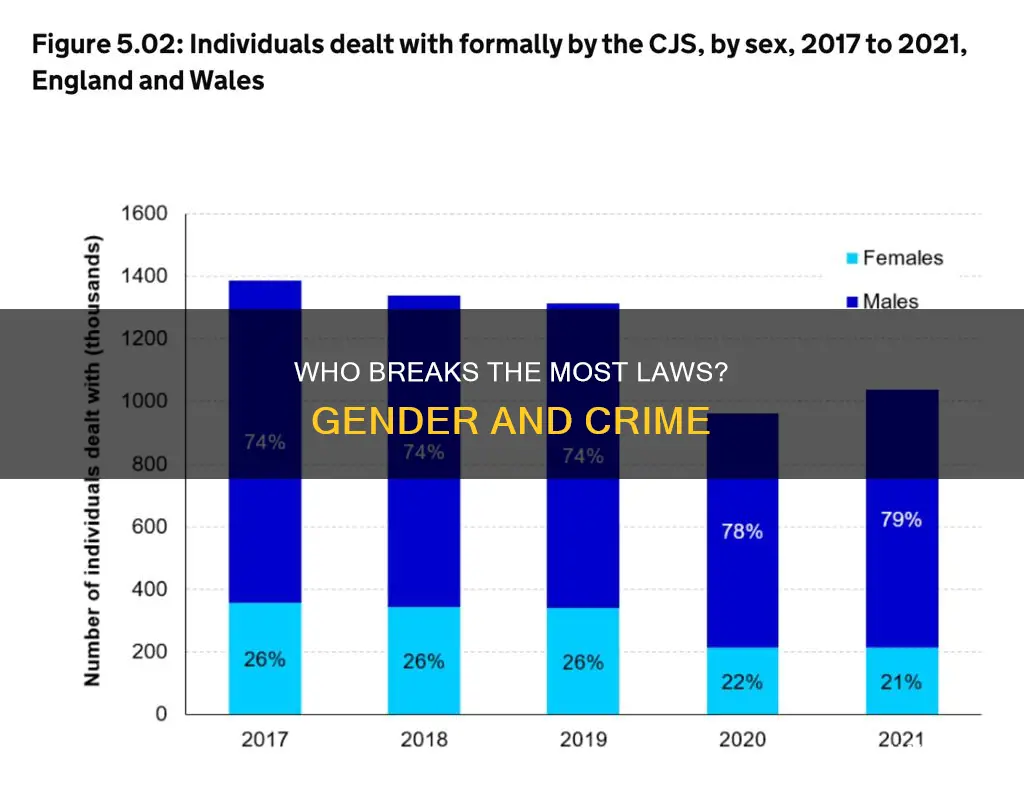 do men or women break more laws