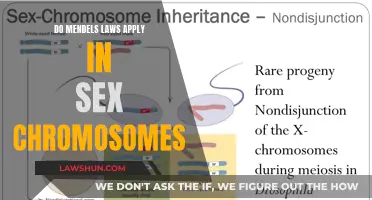 Mendelian Laws: Sex Chromosomes and Beyond