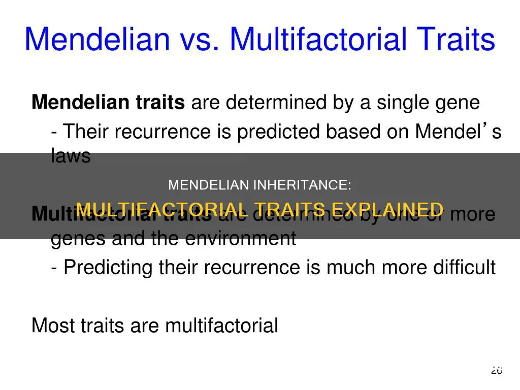 do mendels laws apply to multifactorial traits