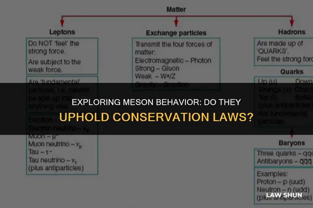 do mesons obey conservatio of law