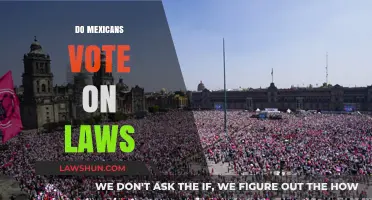 Do Mexicans Directly Vote on Laws? Understanding Mexico's Legal System