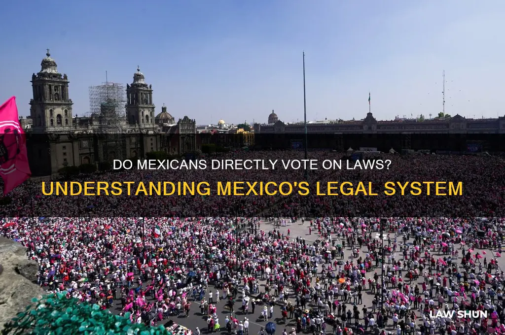 do mexicans vote on laws