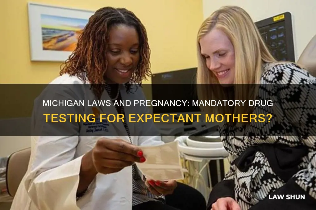 do michigan laws drugtest all pregnant girls