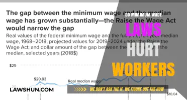 The Impact of Minimum Wage Laws on Workers: A Comprehensive Analysis