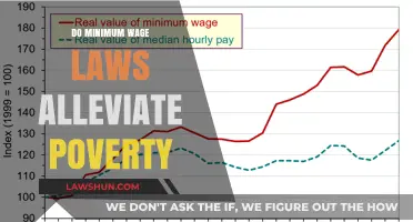 Examining the Impact of Minimum Wage Laws on Poverty Alleviation