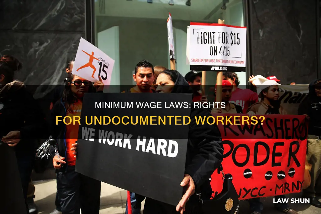 do minimum wage laws apply to illegal immigrants