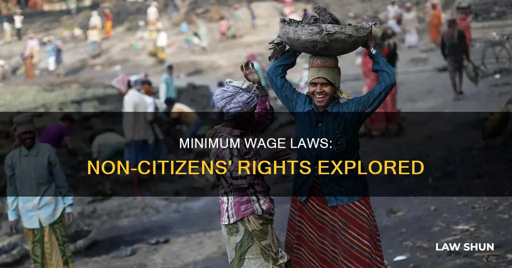 do minimum wage laws apply to non citizens