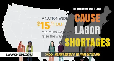 Do Minimum Wage Laws Fuel Labor Shortages? A Critical Analysis