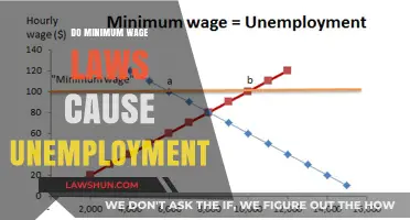 The Impact of Minimum Wage Laws on Unemployment Rates