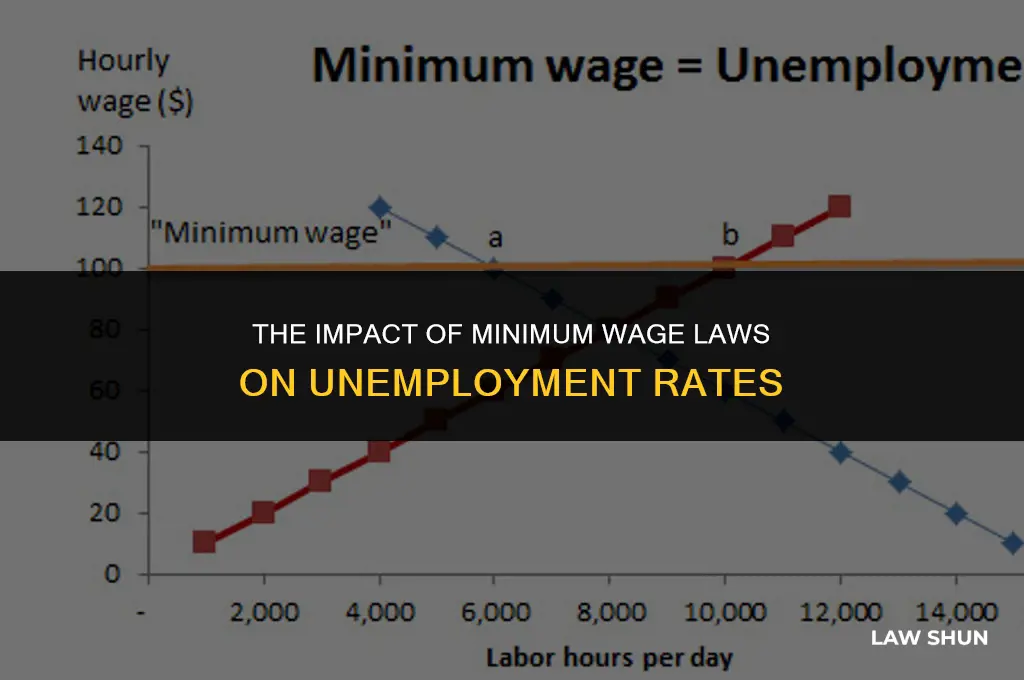 do minimum wage laws cause unemployment