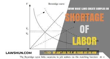 Minimum Wage Laws: Surplus or Shortage?