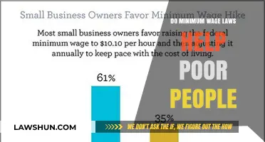 Do Minimum Wage Laws Truly Benefit the Working Poor?