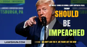 Should Trump Be Impeached? Constitutional Law Experts Weigh In
