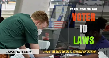 Global Voter ID Laws: How Many Countries Require Identification?