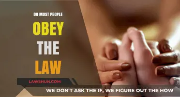 Why Do Most People Obey the Law? Exploring Compliance and Motivation