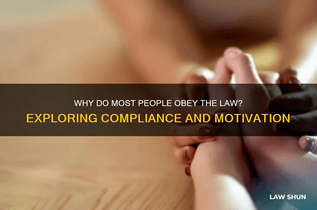 do most people obey the law