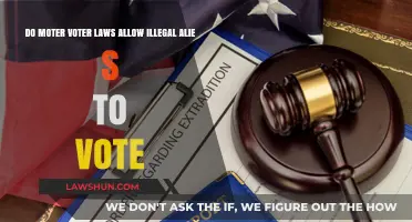 Motor Voter Laws and Illegal Voting: Separating Fact from Fiction
