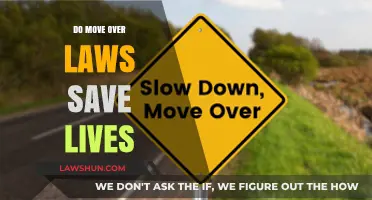 Do Move Over Laws Save Lives: A Critical Examination