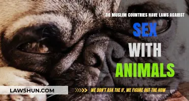 Animal Bestiality Laws in Muslim-Majority Nations: An Overview