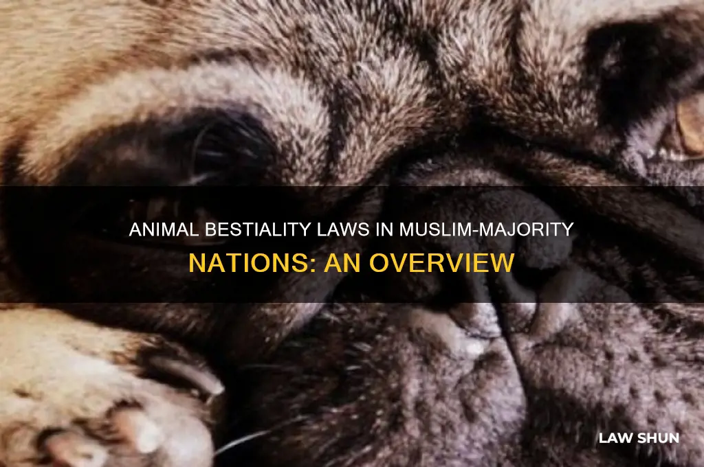 do muslim countries have laws agaibst sex with animals