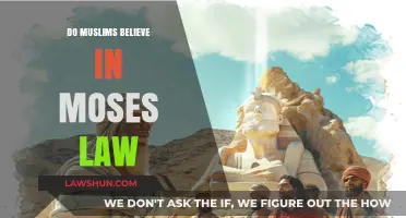 Understanding Islamic Perspectives on Moses and the Torah
