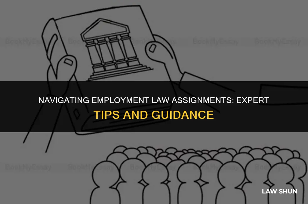 do my employment law assignment help