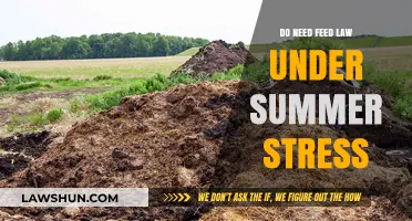 Summer Stress and Livestock: Do You Need to Adjust Feeding Laws?
