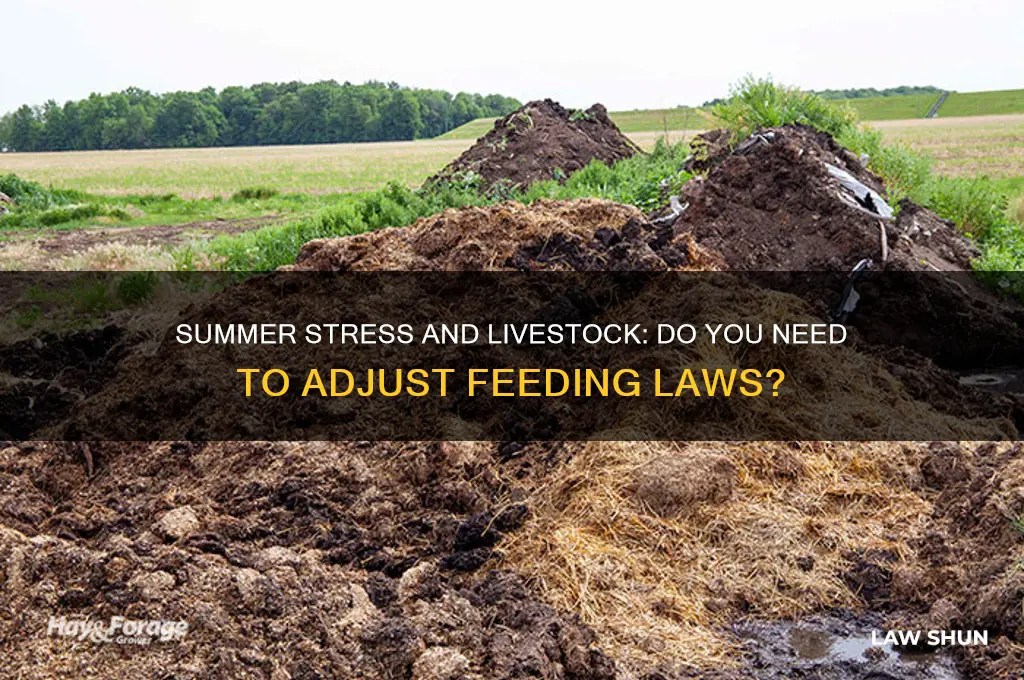 do need feed law under summer stress