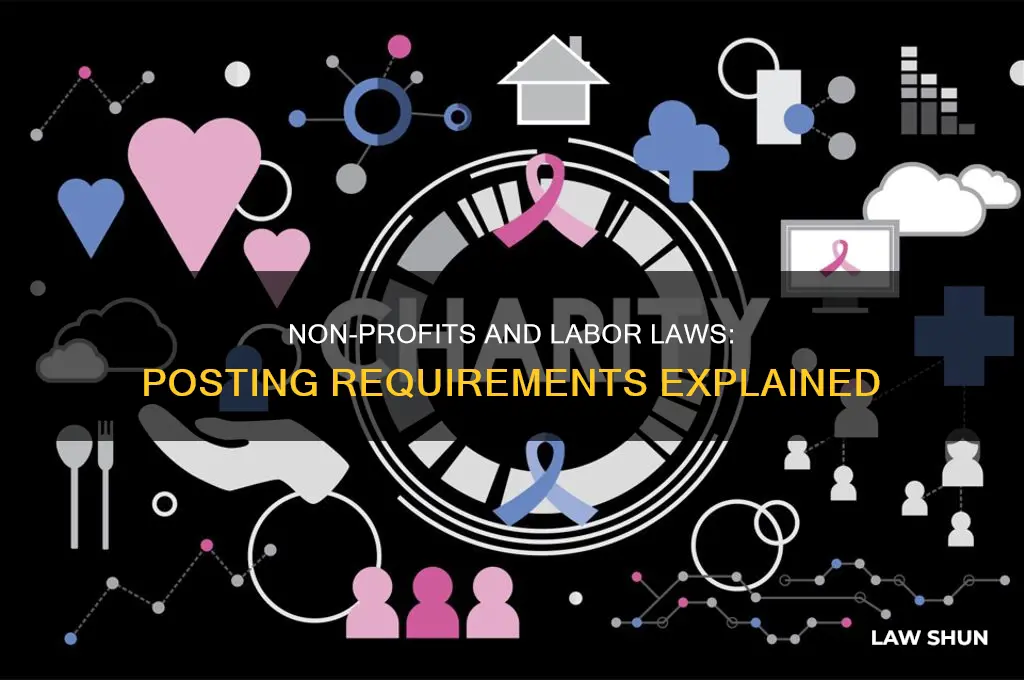 do non profits have to post labor laws