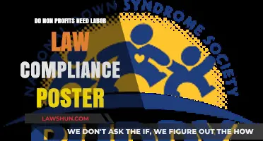 Non-Profits and Labor Law: Essential Compliance Poster Requirements Explained