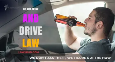 Steering Clear: The Critical Importance of Not Drinking and Driving