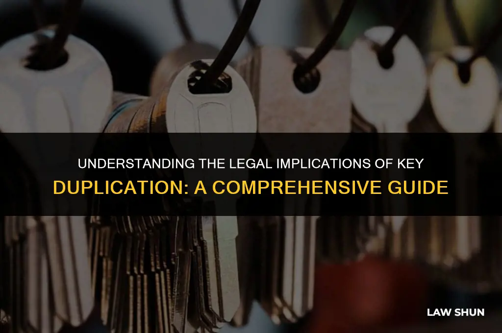 do not duplicate key copy law