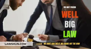 Navigating Big Law: Strategies to Enhance Your Focus and Thrive