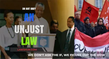 Defying Injustice: The Moral Imperative to Disobey Unjust Laws