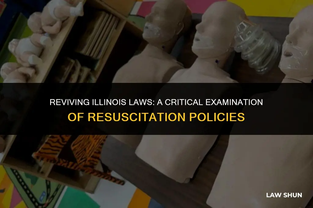 do not recsucicate laws in illinois