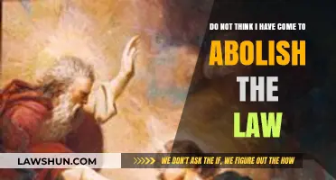 Misunderstood Mission: Clarifying 'I Did Not Come to Abolish the Law