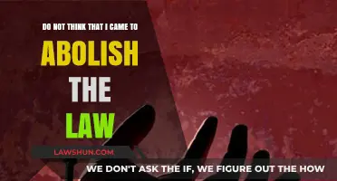 Misunderstood Mission: Clarifying 'I Did Not Come to Abolish the Law