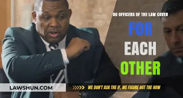 Blue Wall of Silence: Do Law Enforcement Officers Protect Their Own?