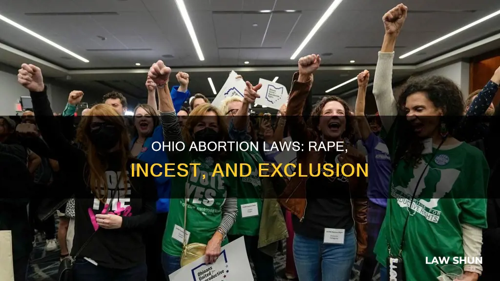 do ohio abortion laws exclude rape and incest