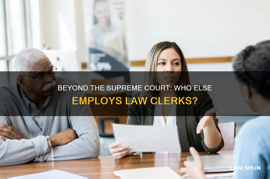 do only supreme court justices have law clerks