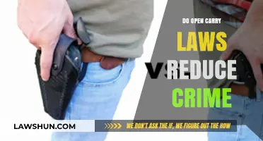 Open Carry Laws: Do They Deter Crime or Increase Risks?