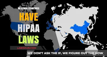 Global Privacy Standards: Exploring HIPAA-Like Laws in Other Countries