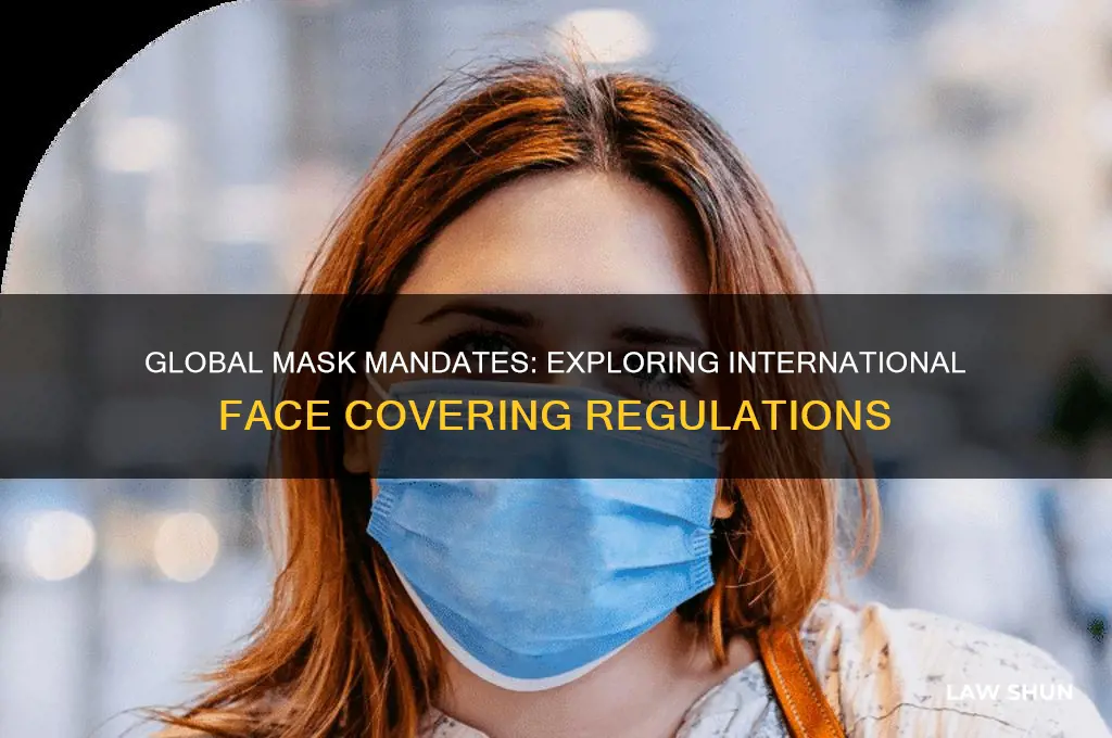 do other countries have mask laws