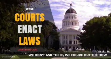 Do Courts Enact Laws? Understanding Judicial Roles in Lawmaking