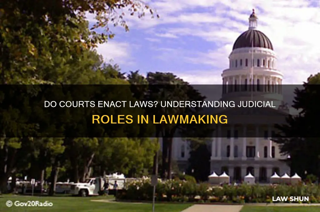 do our courts enact laws