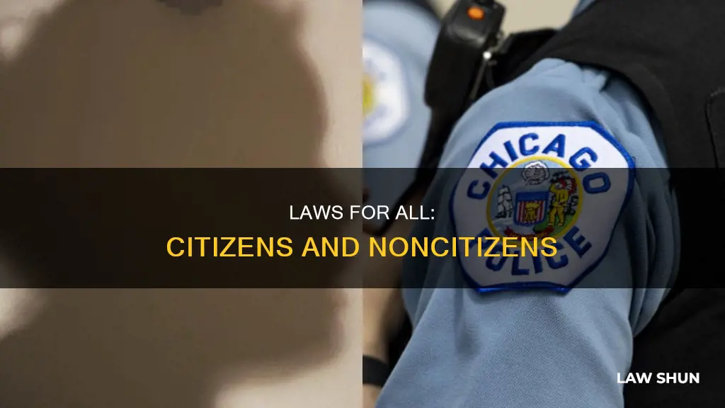 do our laws apply to citizens and noncitizens alike